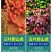 爬山虎爬藤植物四季爬山虎苗盆栽绿化三叶五叶爬墙虎苗攀爬
