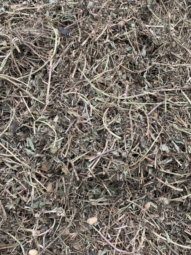 优质花生秧草料