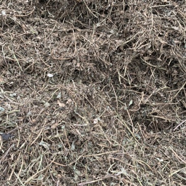优质花生秧草料