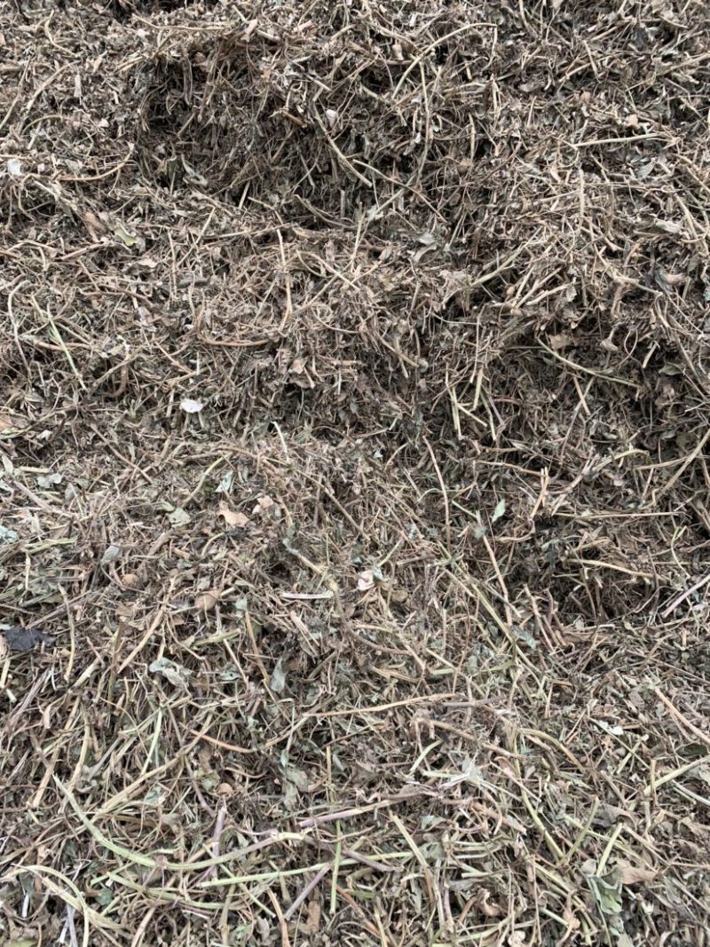 优质花生秧草料