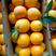 湖北纽荷尔脐橙，口感甜，水分充足，个头大，农户一手货批发