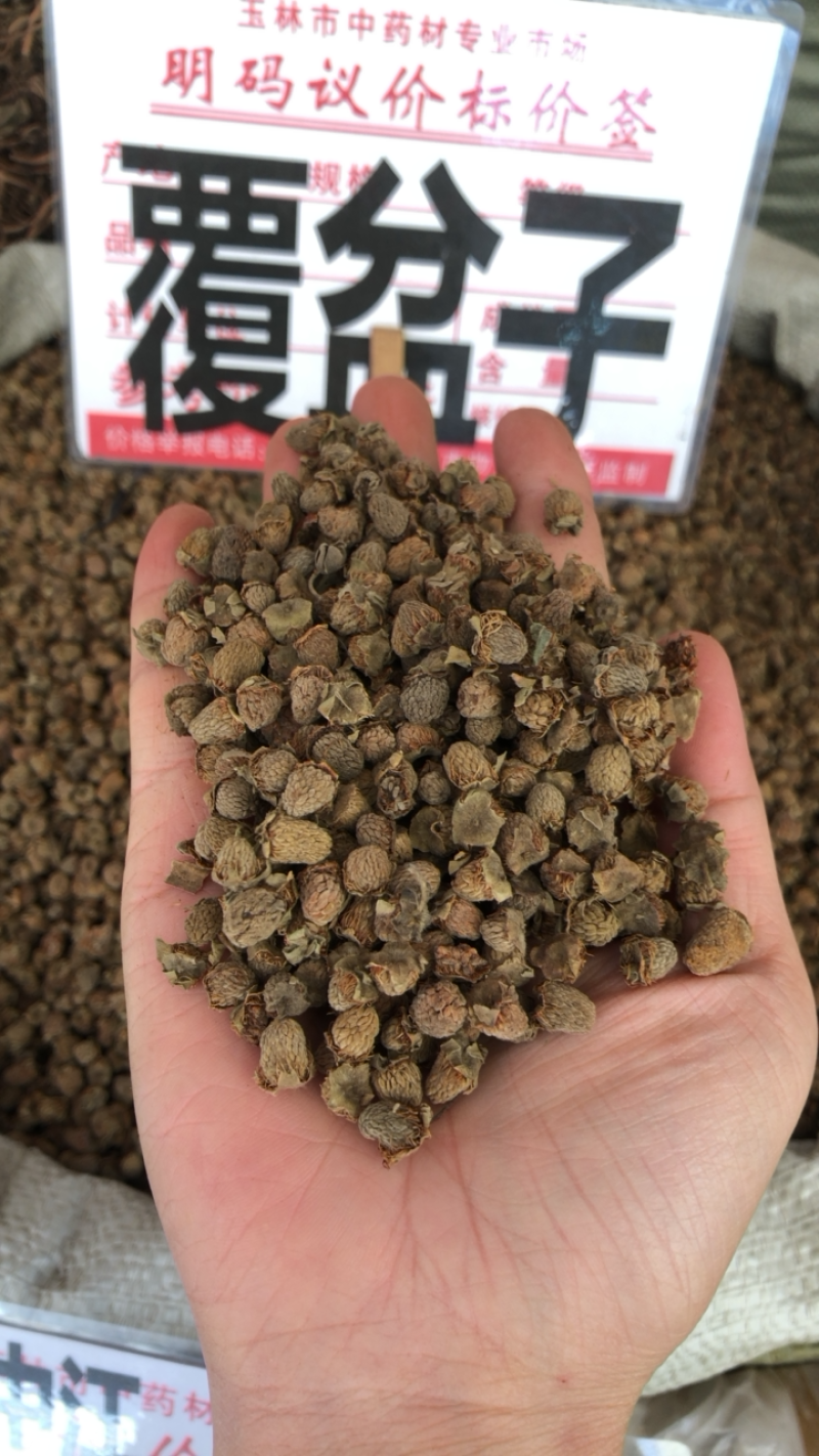 野生覆盆子