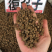野生覆盆子