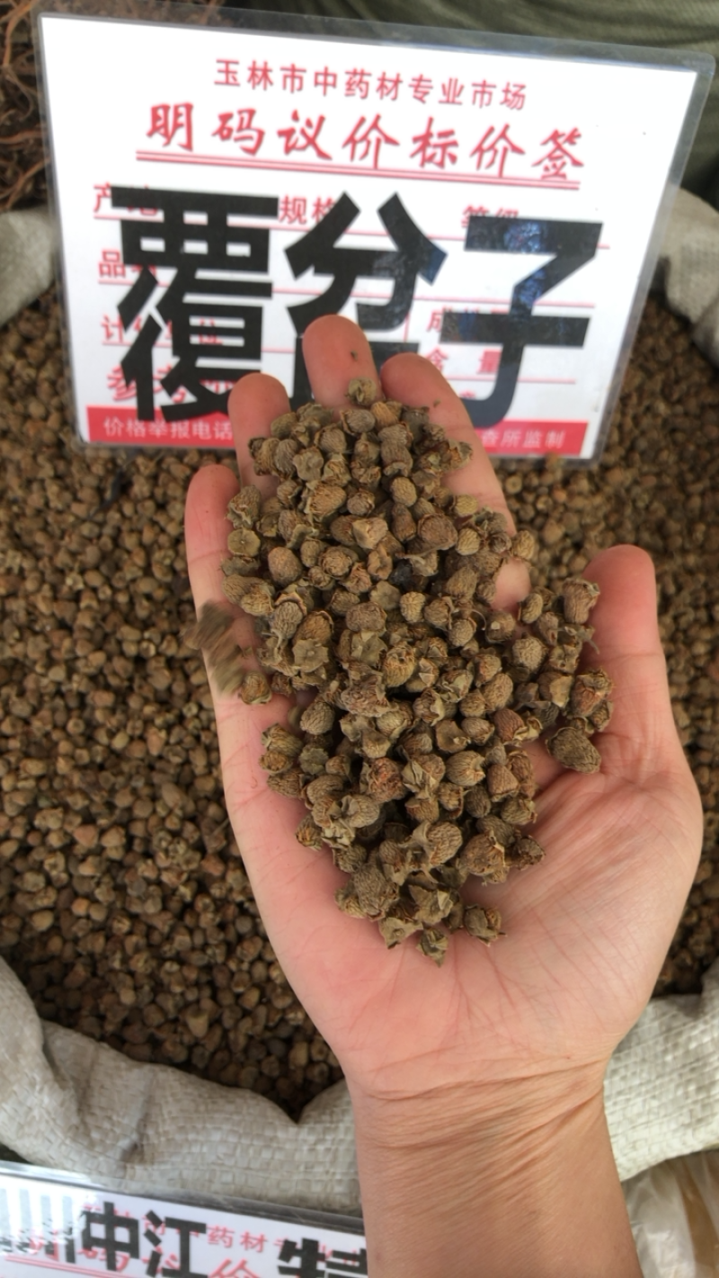 野生覆盆子
