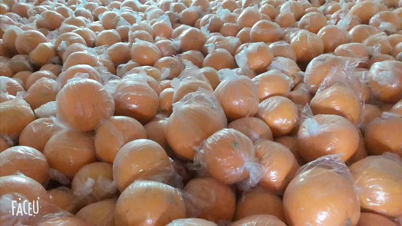 常山胡柚农家种植现摘现发，大量批发产地直销