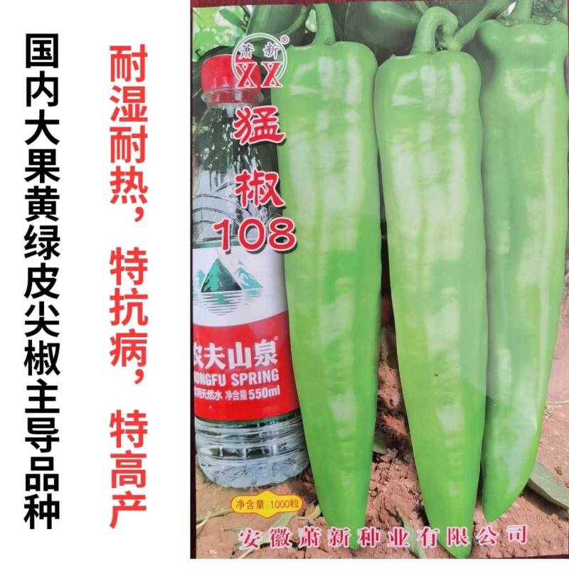 【高品质】萧新猛椒108辣椒种子特黄绿皮尖椒牛角椒种子
