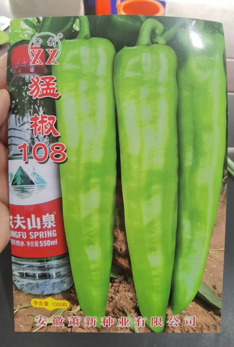 【高品质】萧新猛椒108辣椒种子特黄绿皮尖椒牛角椒种子