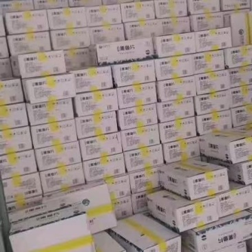 云冻免浆黑鱼片，250g*25盒，现货发售，量大电联