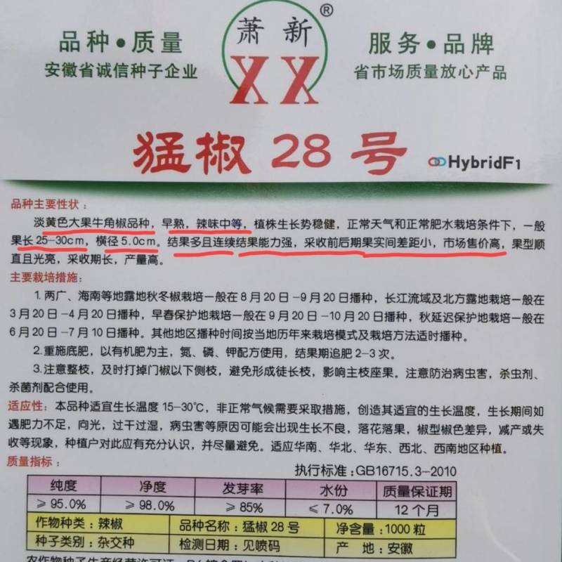 【高品种】萧新猛椒28辣椒种子黄皮牛角椒尖椒种子特大