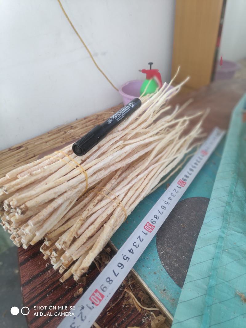 去头捆把无硫北沙参。中细自然白色，纯干买家放心吃了安心
