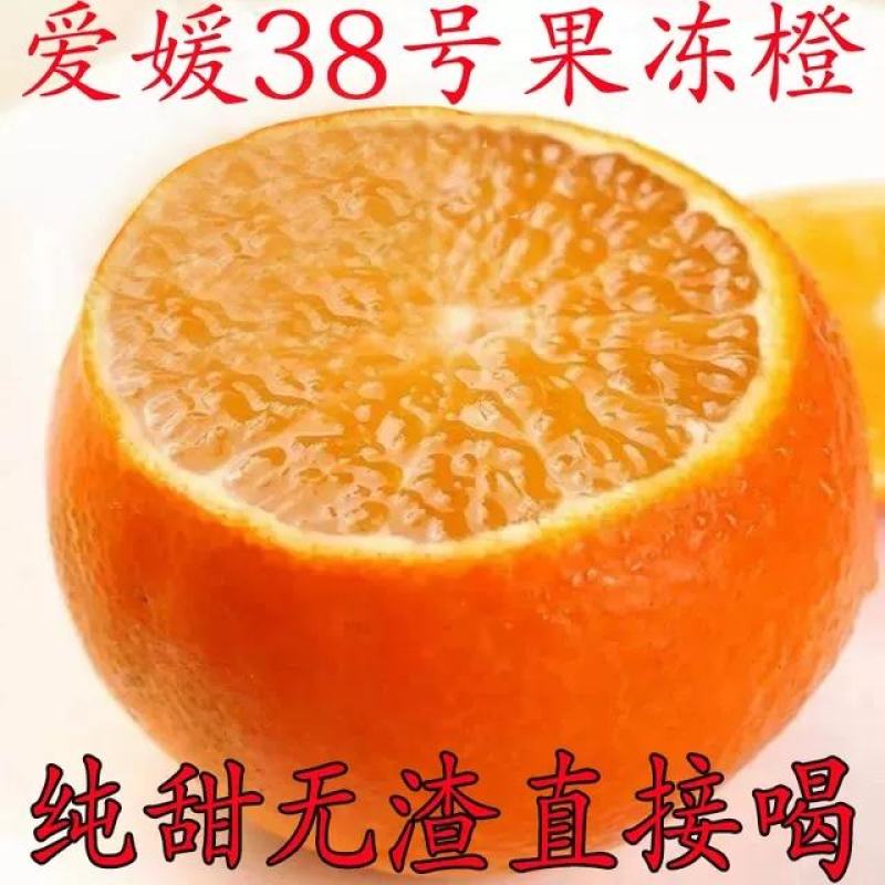 四川爱媛38号果冻橙，产地直接代办一手货源！果亮价格美丽