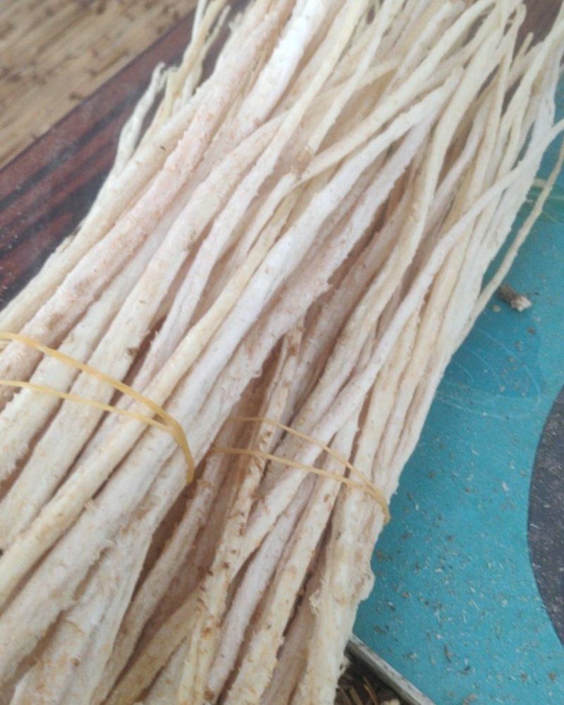 去头捆把无硫北沙参。中细自然白色，纯干买家放心吃了安心