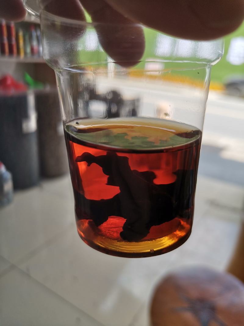血耳《神农架血耳》