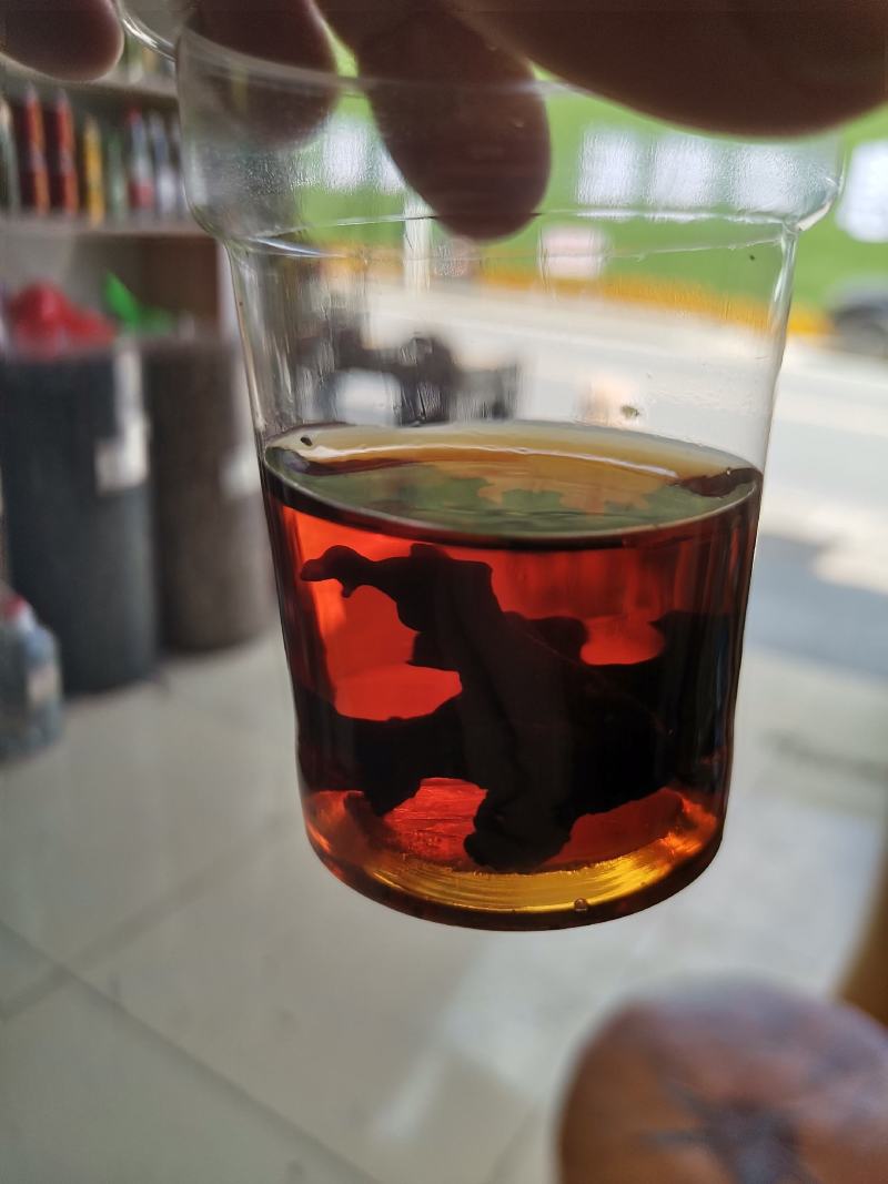 血耳《神农架血耳》
