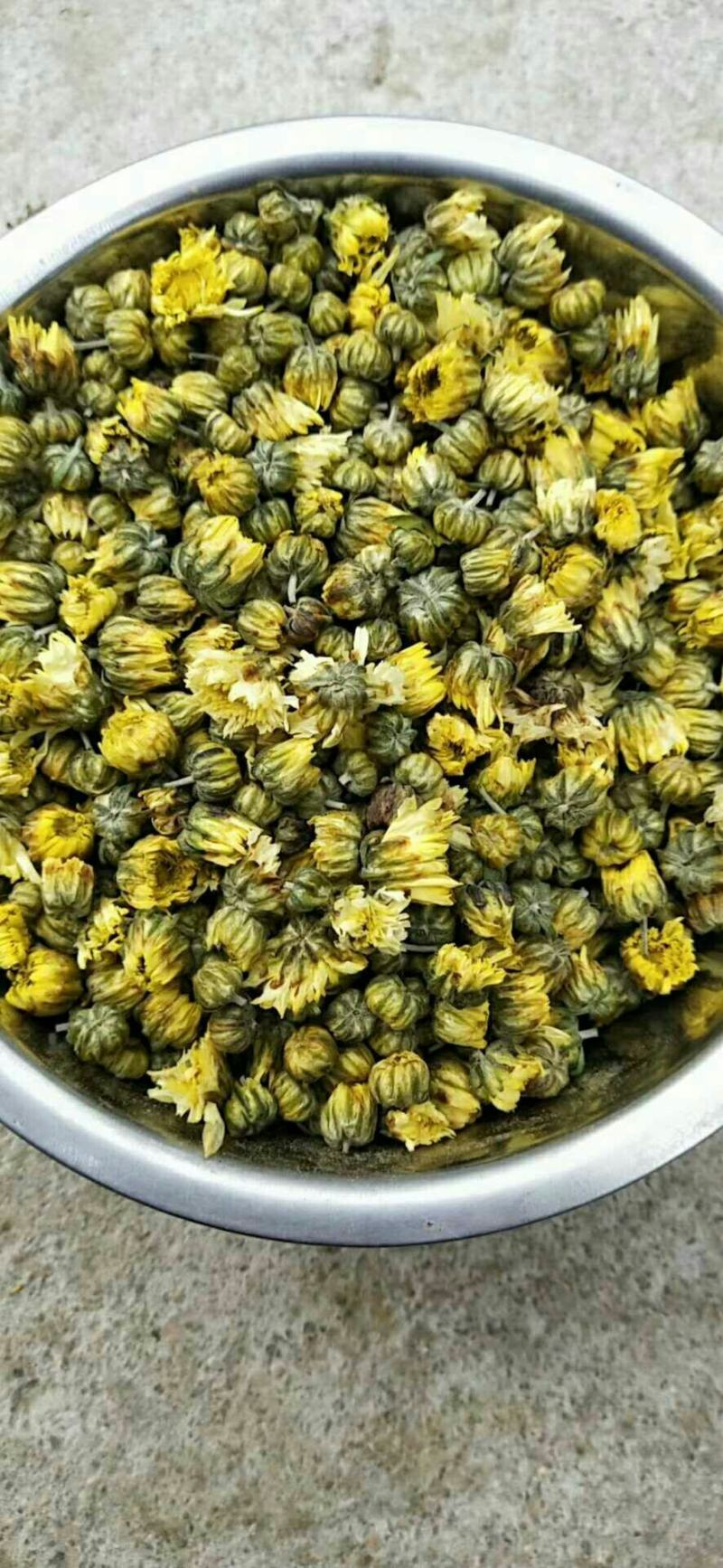 【精选】北京菊朵花，大量出售货量充足量大从优欢迎选