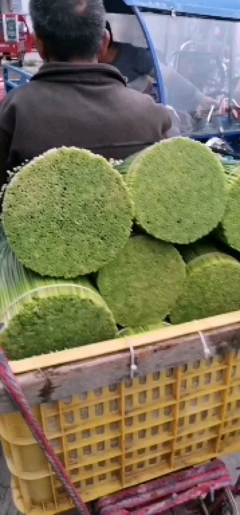 广东韭菜花常年大量上市。基地直发。量大从优，