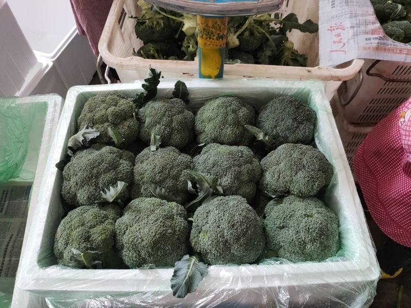 云南西蓝花大量供应，基地直供，颜色绿无红头，可以长期合作