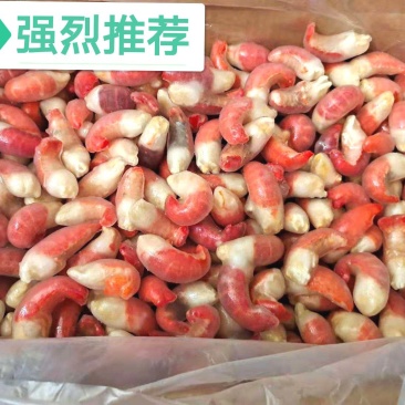 龙虾尾特大顺福鲜品牌小龙虾尾小龙虾，厂价出货