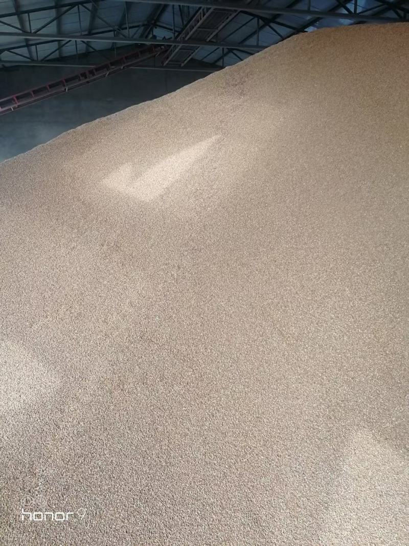 出售红高粱酿酒用