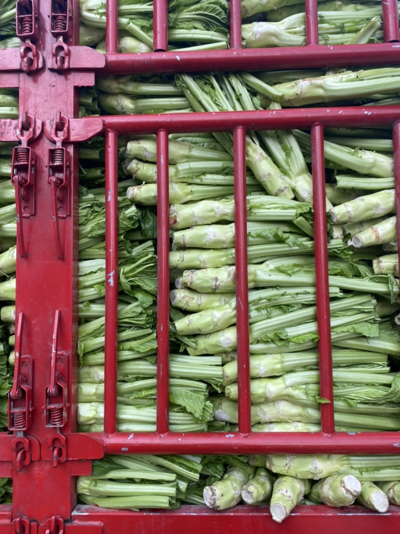 棒菜