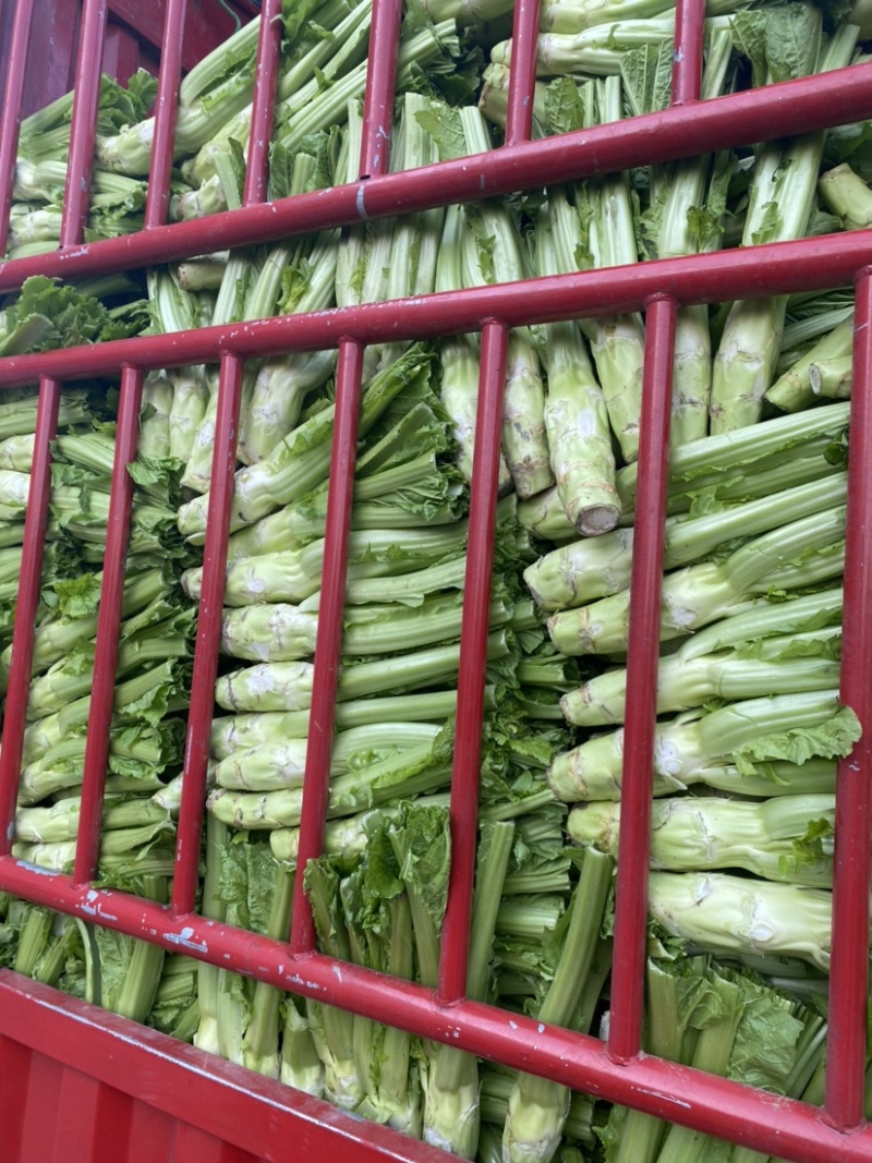 棒菜