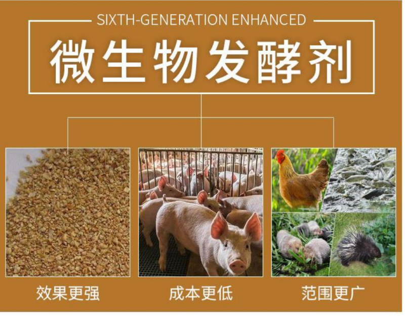 豆渣发酵剂饲料发酵剂发酵豆渣酒糟豆粕喂鸡鸭鹅鱼