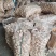山东金乡大蒜批发加工工厂直供网袋纸箱包装