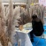 越南灰色大芦苇干花现货多多花穗60-100cm