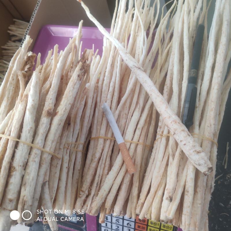 去头捆把无硫北沙参。中细自然白色，纯干买家放心吃了安心