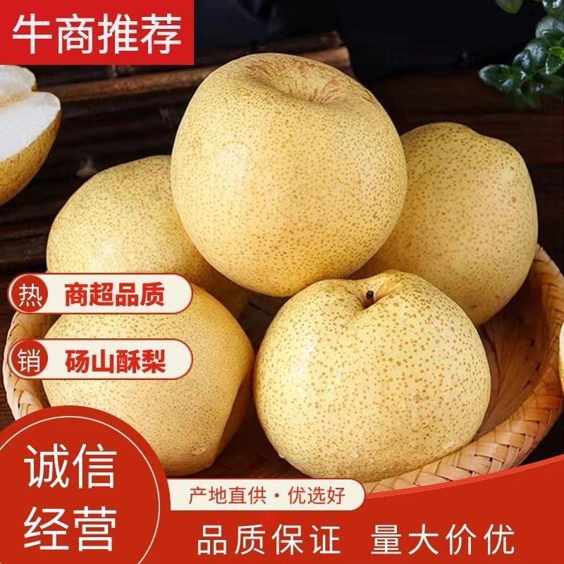 安徽砀山酥梨，口干好，果面干净，胡小汁多，大量上市。