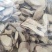 【文斌药业】牛大力各种冷背货批发零售