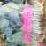 菠菜