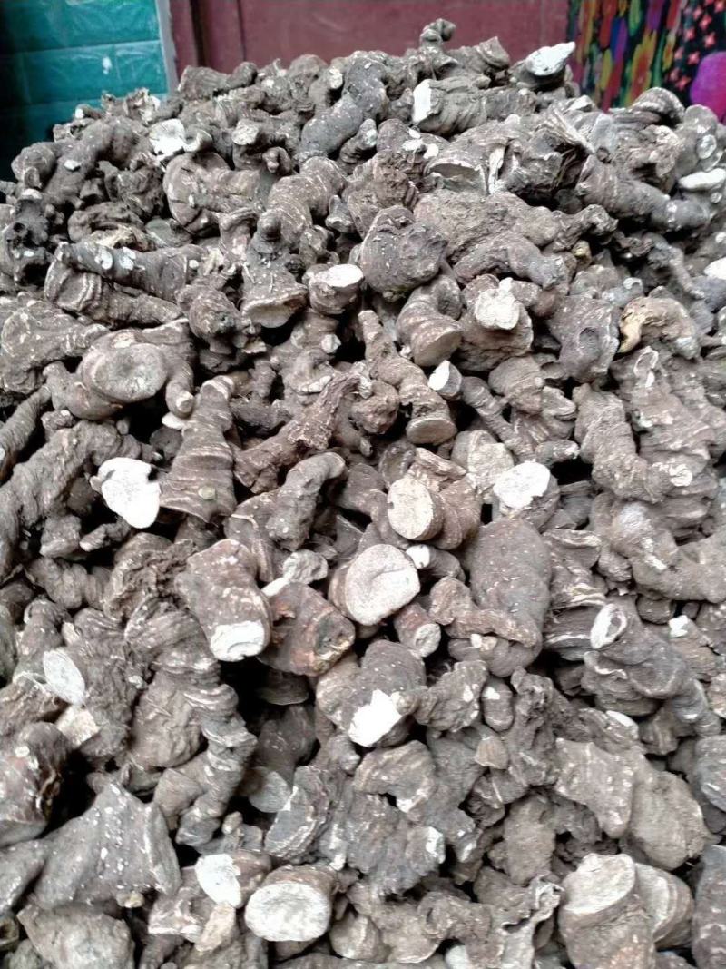 专业批发重楼干货大块茎统货，全粉质，买一送一