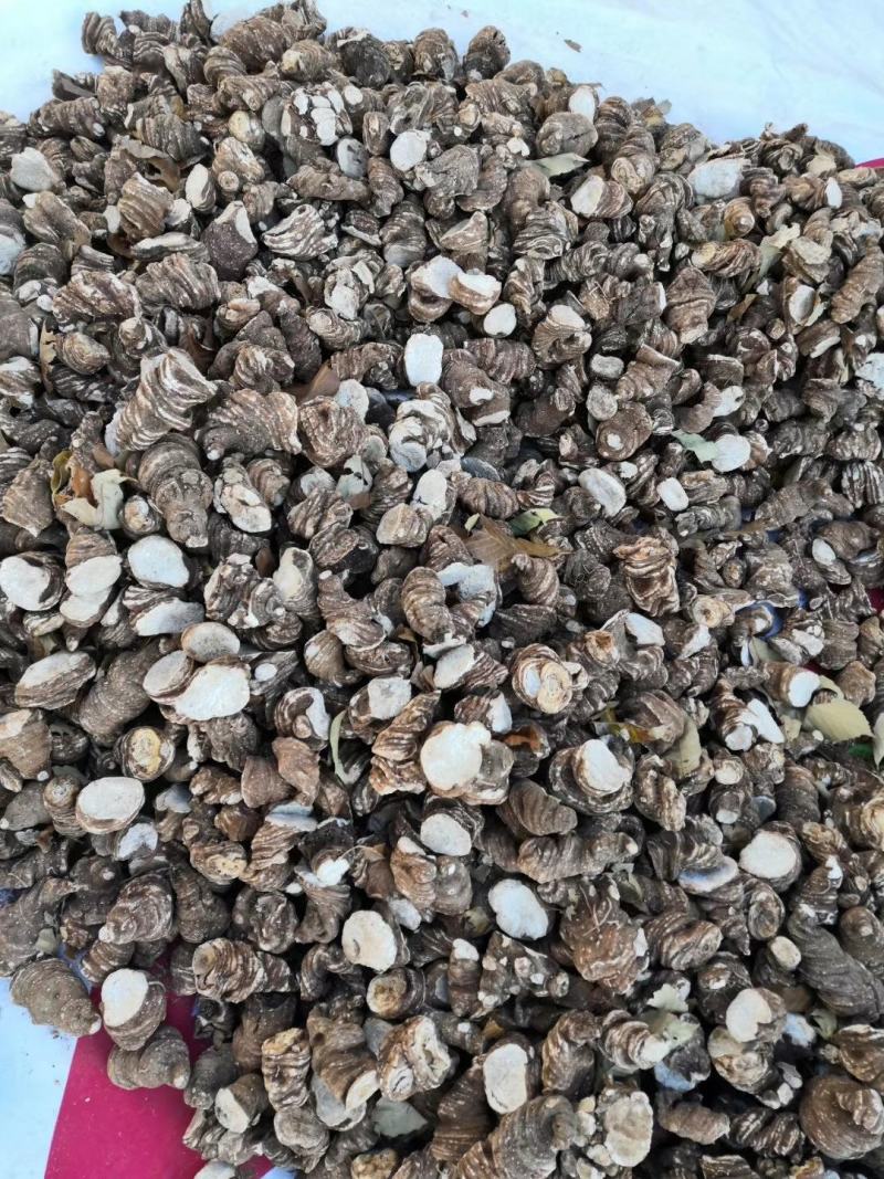 专业批发重楼干货大块茎统货，全粉质，买一送一