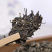 普洱茶生茶饼普洱茶357克玉龍祥普洱生茶包邮