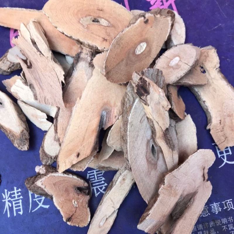 猫人参猫气藤毛人参沙梨藤保证正品不满意可退换货