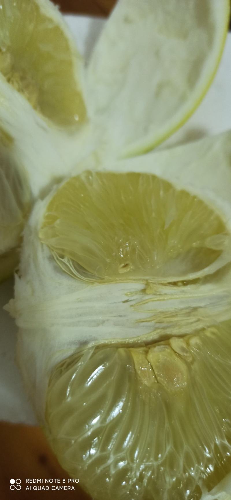 牛湖南柚子苗柚子苗冰糖柚苗正品嫁接的假一赔十
