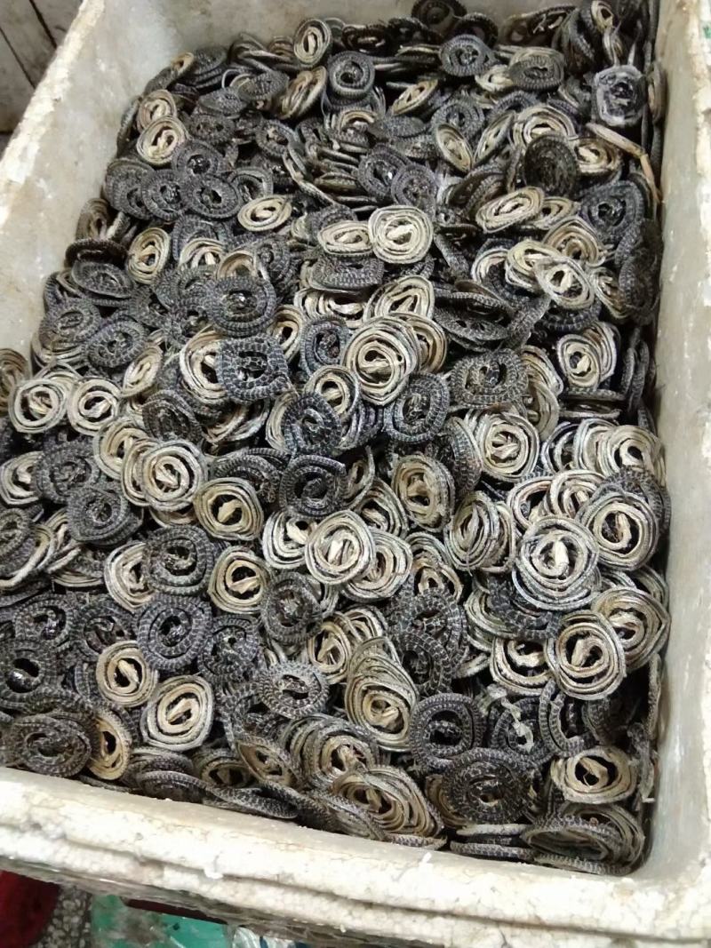 白花蛇中药材金钱白花蛇赤练蛇蛇干小花蛇包邮