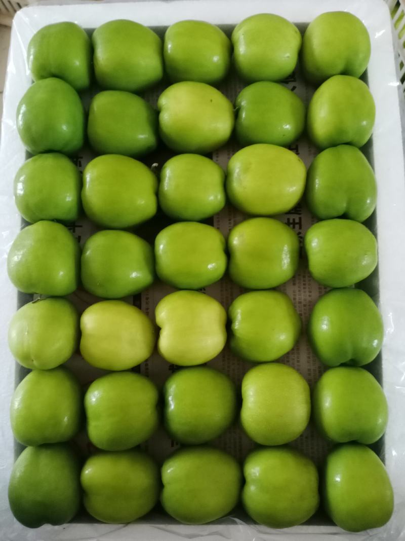 漳州大青枣