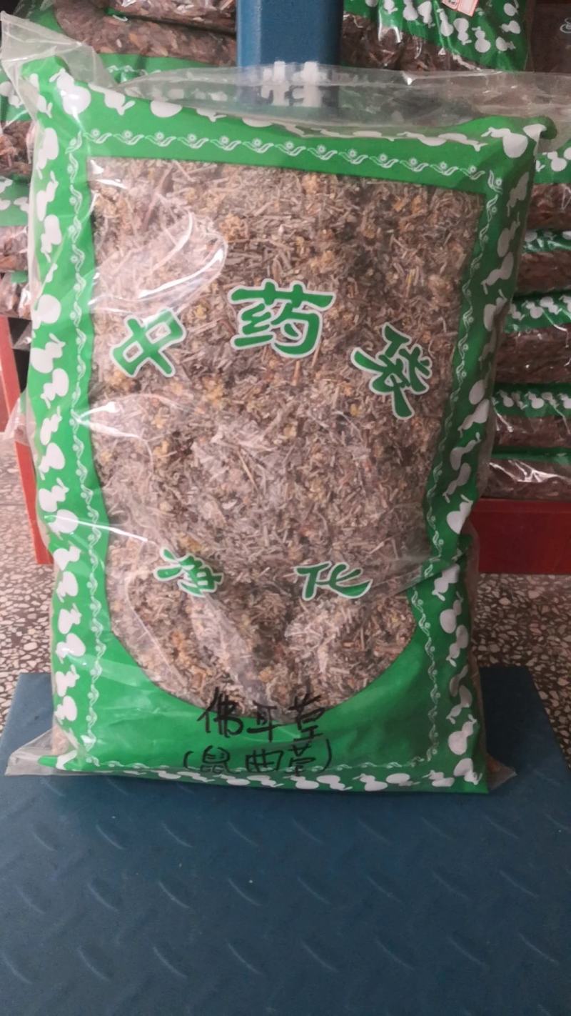 鼠曲草佛耳草鼠耳草毛耳朵绒毛草毛毛头正品不满意可退换货