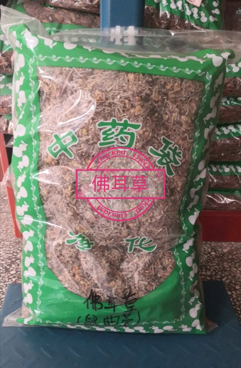 鼠曲草佛耳草鼠耳草毛耳朵绒毛草毛毛头正品不满意可退换货
