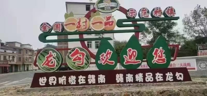 正宗赣南脐橙