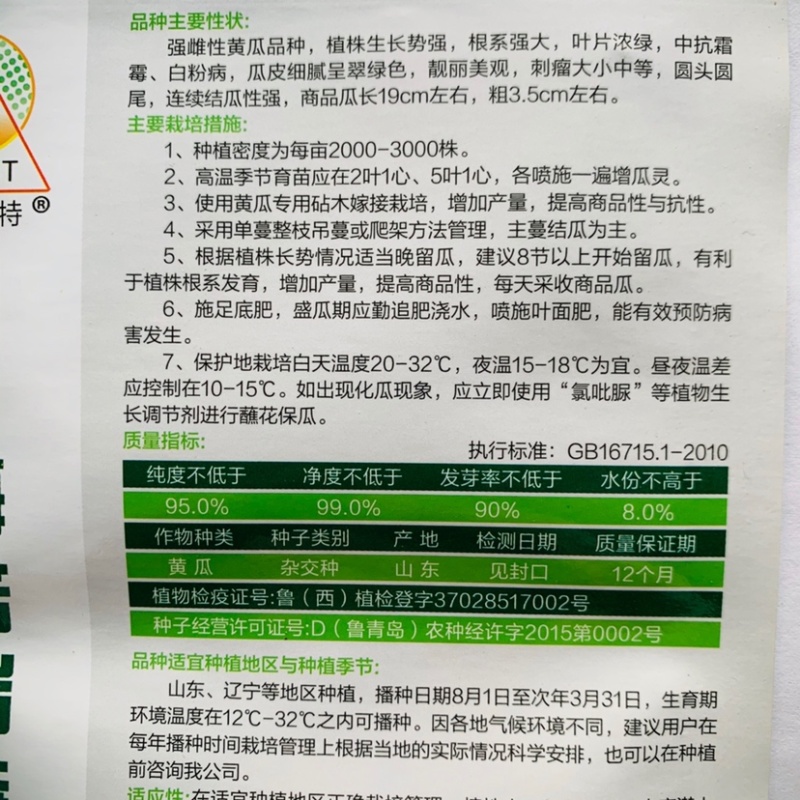 强雌水果黄瓜种子海诺瑞特五号刺瘤中等翠绿色高产旱黄瓜种