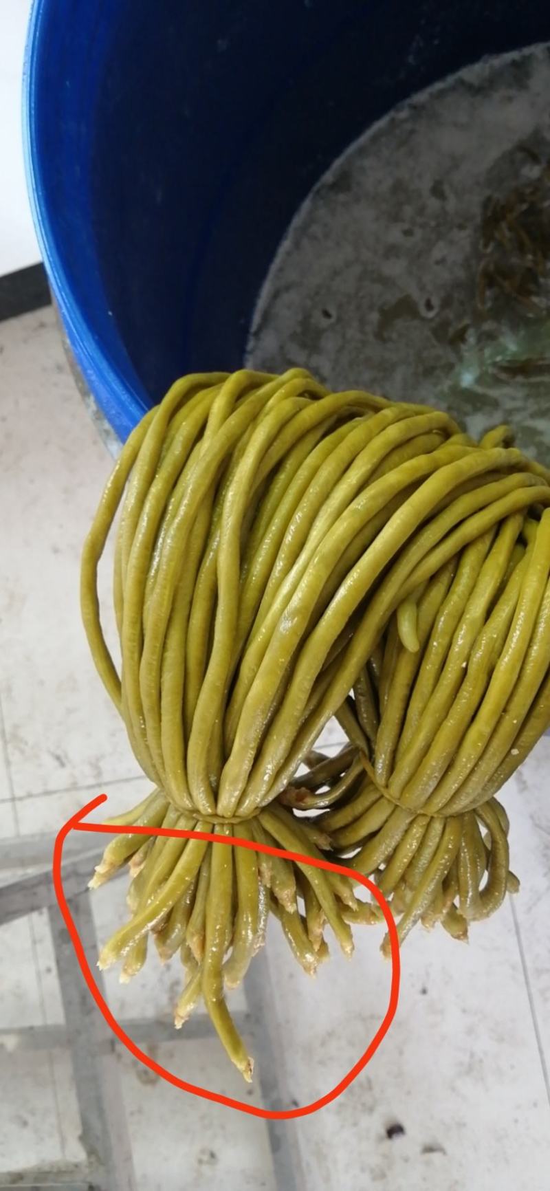 酸豇豆，贵州高原品质，露天直播，无残留，无公害种植。