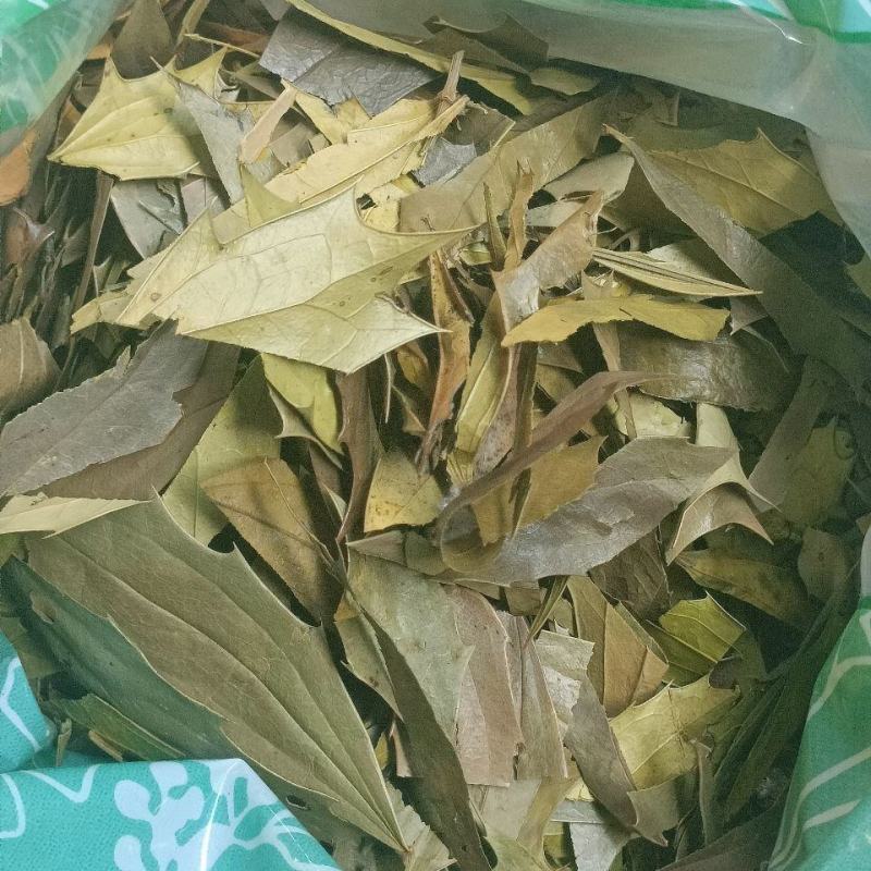 功劳叶十大功劳叶枸骨叶猫儿刺八角刺冷背药材齐全