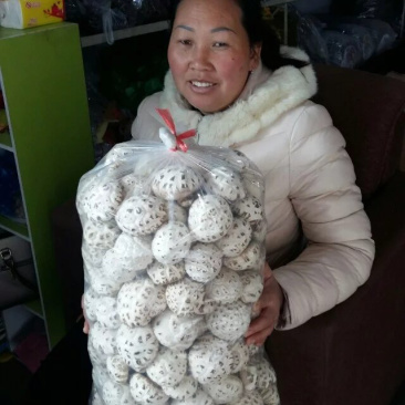 新品大花菇新上市