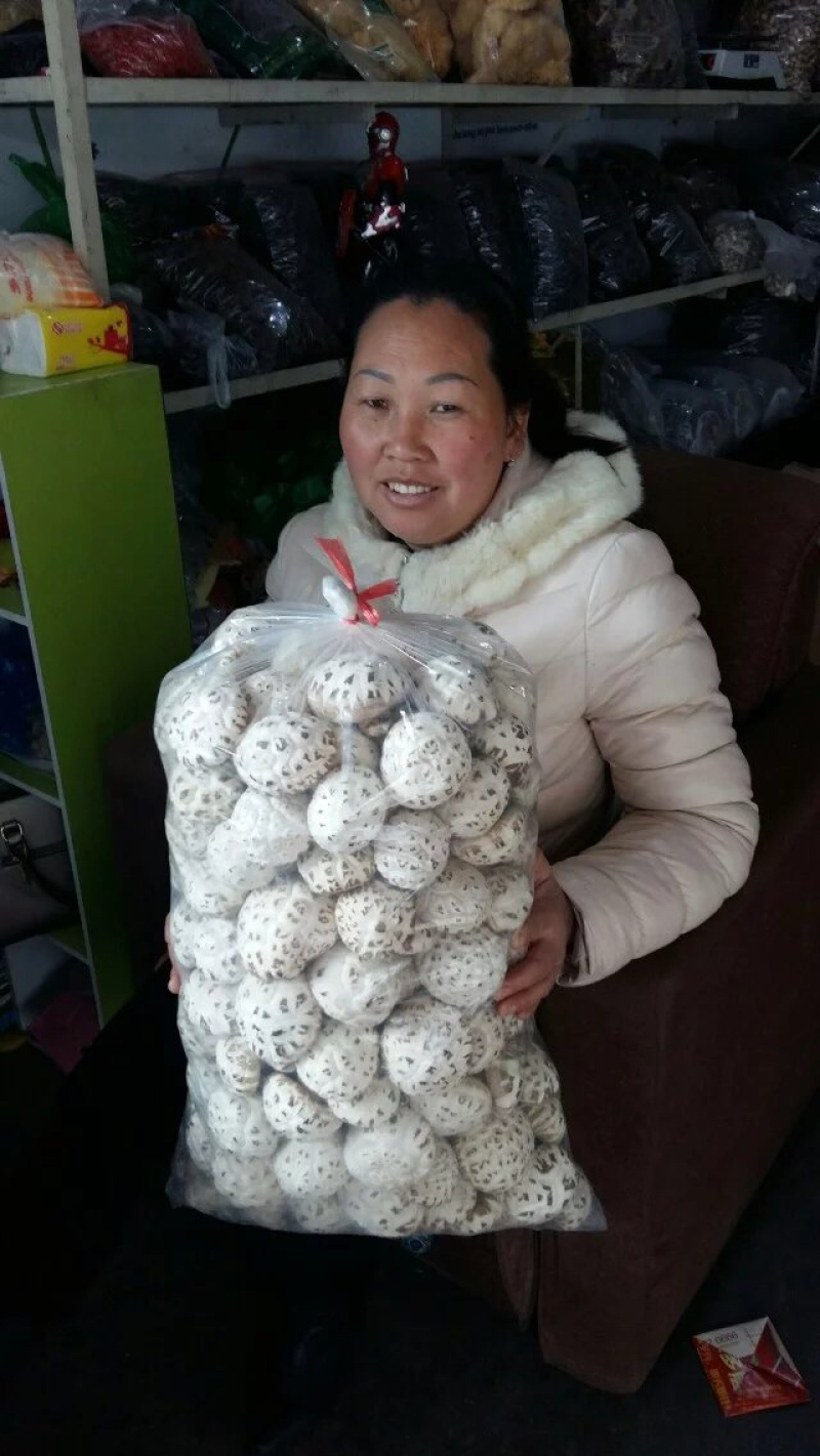 新品大花菇新上市