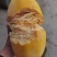 金丝瓜
