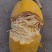 金丝瓜