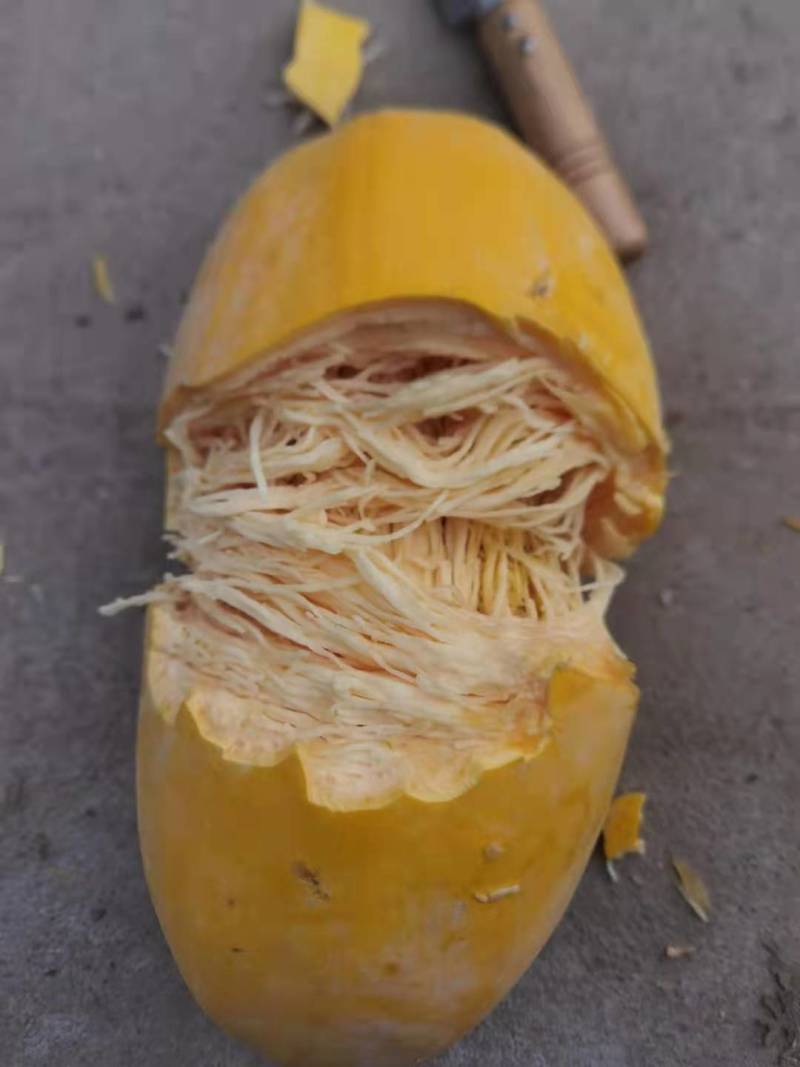 金丝瓜